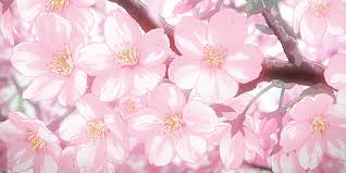 Sayonara zetsubou sensei's first episode is like the only sakura scene that made me laugh. ç›®ã‚'é–‰ã˜ã¦