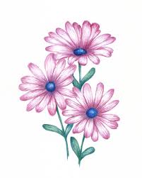 Pin On Flower