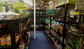 Find everything you require for your. Exotics Reptile Shop