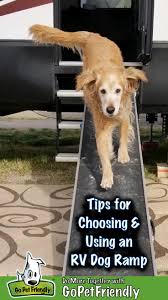 Maybe you would like to learn more about one of these? Tips For Choosing Using An Rv Dog Ramp Travel With Senior Dogs