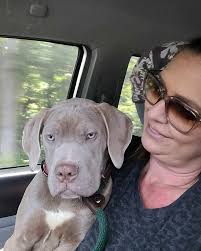 Bobbie's Pit Bull Rescue added...
