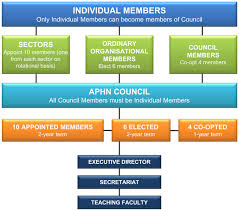 Organisational Structure