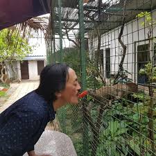 Nghệ sĩ giang còi tên thật là lê hồng giang anh là một trong những nghệ sĩ hài của miền bắc giang còi là một người kiên nhẫn anh luôn vui vẻ với cuộc sống hiện tại mà mình đang có anh. Giang Coi á»Ÿ Tuá»•i U60 Láº» Bong Máº¯c Ung ThÆ° Há»ng