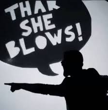 See more of thar she blows on facebook. Thar She Blows Whales A Hit The Lights Theater Co