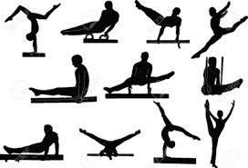 Image result for gymnastics