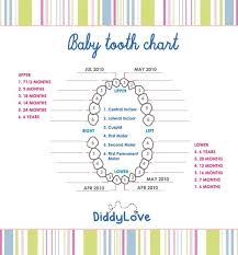 Tooth Chart To Add To Baby Scrapbook Tooth Chart Teeth