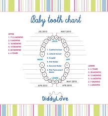 tooth chart to add to baby scrapbook tooth chart teeth