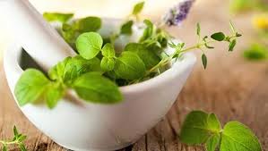 The best hair loss treatments for every budget. Hair Care Struggling With Hair Fall Here Are 5 Amazing Herbs Which Might Contribute To Hair Growth