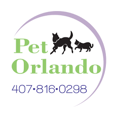 We treat dogs and cats. Holistic Veterinary Care Of Cfl Home Facebook