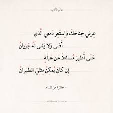 شعر عنترة بن شداد عرني جناحك واستعر دمعي الذي عالم الأدب Math Aesthetic