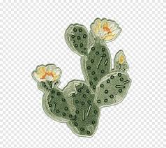 See more ideas about aesthetic wallpapers, wallpaper, aesthetic. Green Aesthetic Green Cactus Illustration Png Pngegg