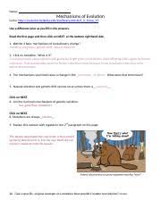 Maybe you would like to learn more about one of these? Key Webquest On Mechanisms Of Evolution Name Mechanisms Of Evolution Go To Http Evolution Berkeley Edu Evolibrary Article 0 0 0 Evo 15 Use A Course Hero