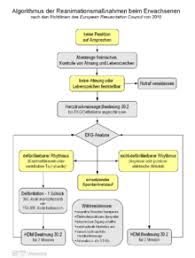 While this handbook covers bls basics, it is essential that acls providers be proficient in bls first. Herz Lungen Wiederbelebung Wikipedia