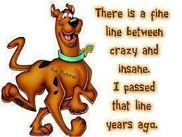 Crazy And Insane Scooby Doo Quotes Funny Quotes Funny Meme Pictures