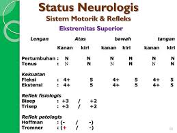 Para evaluar el signo de la glabela , hay que golpear suavemente la frente con el fin de provocar un parpadeo; Ppt Lapsus 2 Poliklinik 24 12 2013 Powerpoint Presentation Free Download Id 2063473