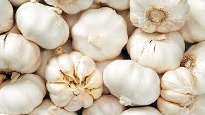 7 Things You Need To Know Before Giving Garlic To Your Horse Reports Animaderm