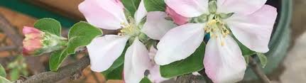 Murfreesboro flower shoppe is located at 1007 memorial blvd, murfreesboro tn 37130. Martin S Home And Garden Murfreesboro Tn Alignable