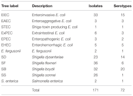 Frontiers Phylogenetic Analyses Of Shigella And Enteroinvasive Escherichia Coli For The Identification Of Molecular Epidemiological Markers Whole Genome Comparative Analysis Does Not Support Distinct Genera Designation Microbiology