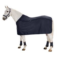 1777 anthra melange eskadron ausreitdecke fleece exercise classic sports hw19 tealblue xl 155 cm eine hochwertige fleecequalität mit antipilling. Eskadron Abschwitzdecke Meshfleece Abschwitzdecken Transportdecken Loesdau Passion Pferdesport