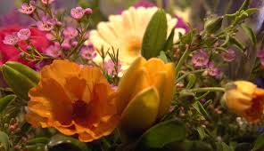 Portsmouth, va chesapeake, va newport news, va hampton, va norfolk, va suffolk, va poquoson, va williamsburg, va elizabeth city, nc hopewell, va. Shop And Swap Market Full Of Plants In Downtown Norfolk At 757 Plant Swap