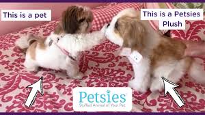 Don't worry, there are a lot more on the way! Custom Pet Stuffed Animals From A Picture Petsies C Youtube