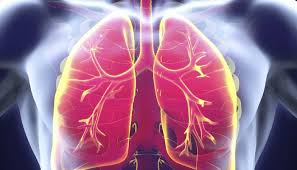 Himachal Pradesh To Have Tuberculosis Completely Under Control By 2023 Says Health Minister Human Respiratory System Lung Cleanse Chest Congestion Remedies