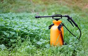 How do i get rid of moles in my garden. How To Get Rid Of Moles Updated For 2021