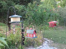 Bird feeders are killing songbirds, due to a salmonella outbreak, but there are safer and better ways to attract birds to your garden space. 8 Easy Ways To Landscape Under Bird Feeders Dengarden