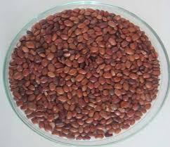 Image result for Dolichos