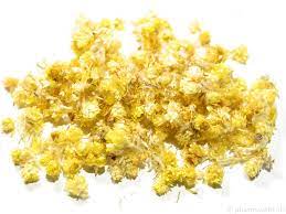 Flos Helichrysi Helichrysum Arenarium Asteraceae Altinotu Medicinal Herbs Helichrysum Herbs