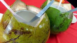 Minum air barli ni banyak sikit! 11 Manfaat Air Kelapa Hijau Untuk Ibu Hamil Hamil Co Id