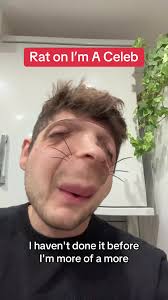 Im A Celebrity Biggins Rat
