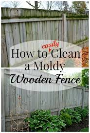 Cleaning A Wood Fence Wooden Fence Cleaning Hacks House Cleaning Tips