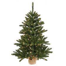 Maybe you would like to learn more about one of these? Vickerman Mini Pine Tree With Wood Base Green Tabletop Tree 24 Inch Home Kitchen Seasonal Decor Svanimal Com