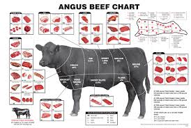 what everybody ought to know about beef cuts clover