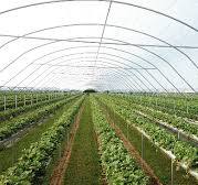 Substrate Trough System - tunneltech.ca