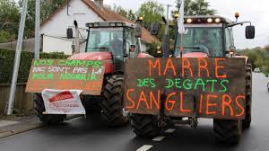 Le #farda, fonds d'aménagement rural et de développement agricole, est reconnu par les. Des Agriculteurs Poursuivis Pour Avoir Tue Des Sangliers Dans Leur Champ De Mais Desvres
