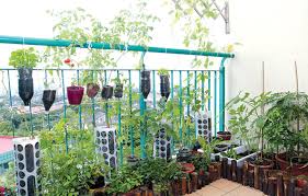 Tapi, pernahkah terbayang untuk berkebun di rumah sendiri? Aktiviti Berkebun Di Rumah Seronok Kutip Hasil Dengan Anak Anak Di Waktu Petang
