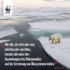 Pin Auf Wwf