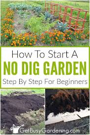 Maybe you would like to learn more about one of these? No Dig Gardening 101 How To Start A No Till Garden
