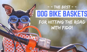 Shopping for a bike basket for dogs online? 7 Best Dog Bike Baskets 2021 Reviews Safe Bicycle Riding With Dogs
