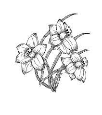 Daffodils Black And White Ver By Lynnleo On Deviantart Flower Drawing Tumblr Flower Drawing Daffodil Flower Tattoos
