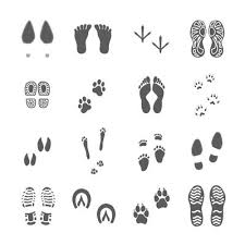 Beginne mit dem kinderrätsel in der oberen linken ecke. Various Footprints Set Black On White Download Free Vectors Clipart Graphics Vector Art
