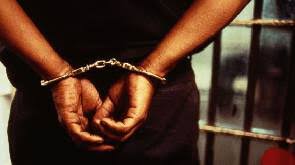 Image result for jail breakers
