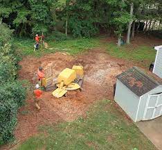 58 apartments in chapel hill, nc. Stump Grinding In Raleigh A Plus Tree Crane Services