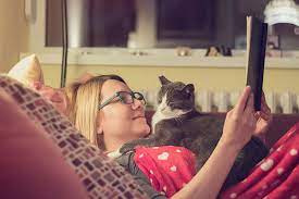 These behaviors might start in the evening or wake you up in the middle of. Is Your Cat Meowing At Night Reasons Why And What To Do Catster