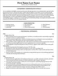 Top Government Resume Templates Samples