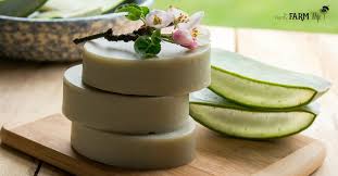 Kitchen tools for soap making. How To Make Fresh Aloe Vera Soap Aloe Vera Facial Soap Recipe