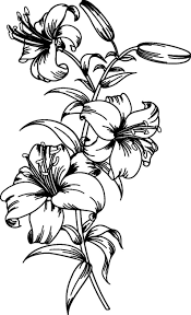 Lily Svg Lily Flower Svg Flower Svg Lily Svg Files For Cricut Lily Flower Clipart Lily Flower Png Lily Flower Svg Files Lily Silhouette In 2021 Lily Tattoo Design Flower Svg Lilly Flower Drawing