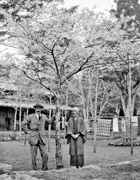 Collingwood ingram var en søn af sir william ingram og mary eliza collingwood, født stirling, datter af den. What Would Spring Be Without Cherries On Top Express Co Uk